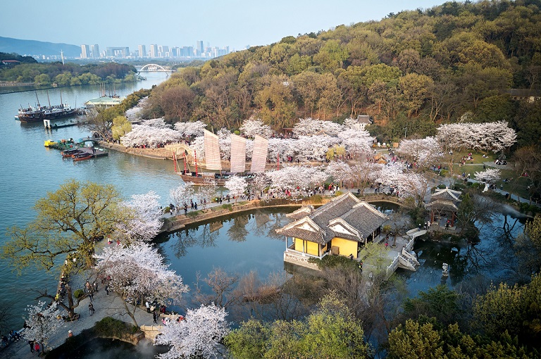 圖片1