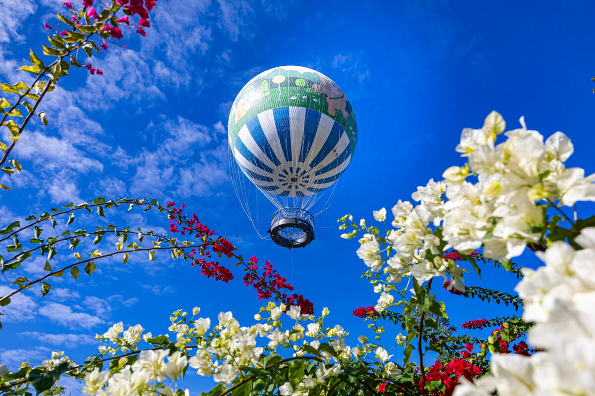 日月潭溫德姆溪頭福華九九峰氦氣球樂園3日