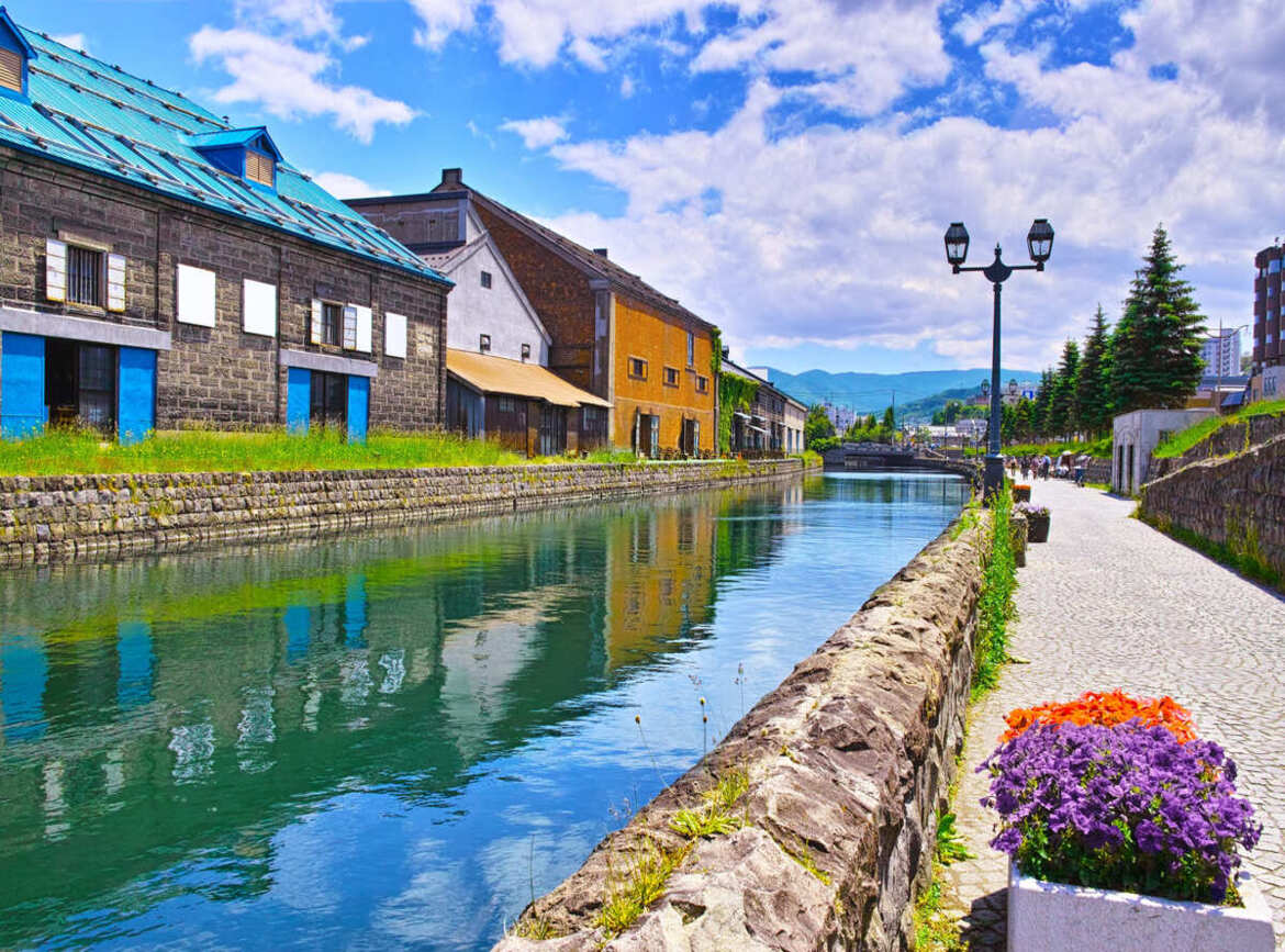 北海道賞楓