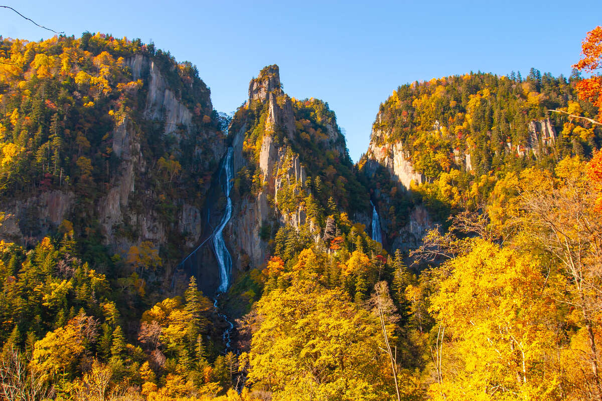 北海道賞楓