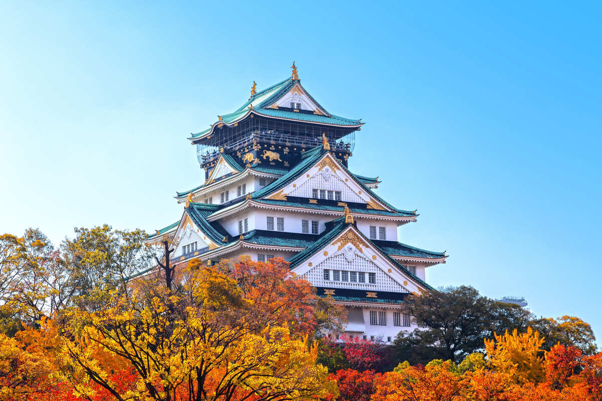 關西紅葉楓光×神戶布引香草園纜車5日