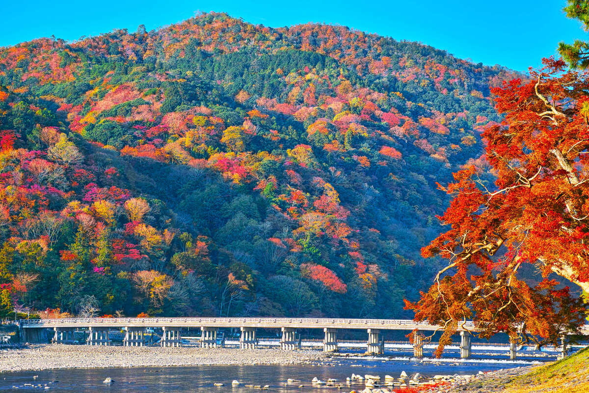 關西旅遊
