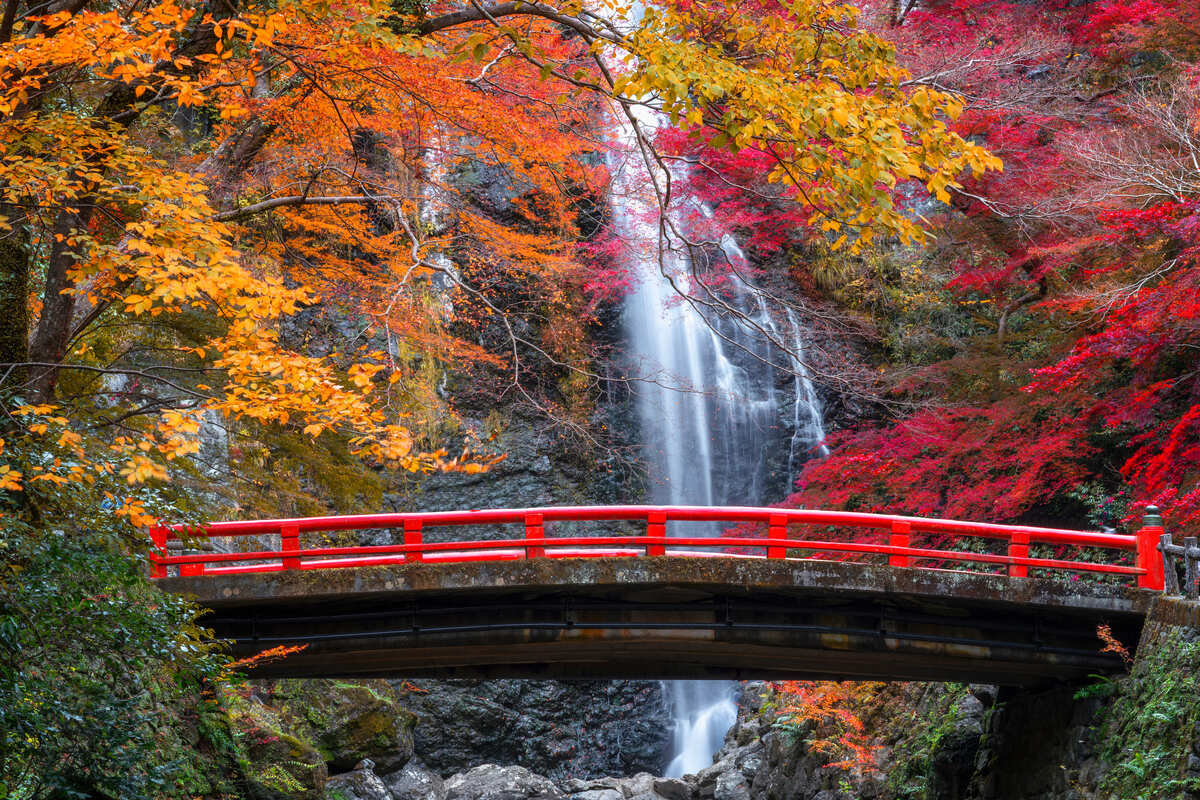 關西旅遊