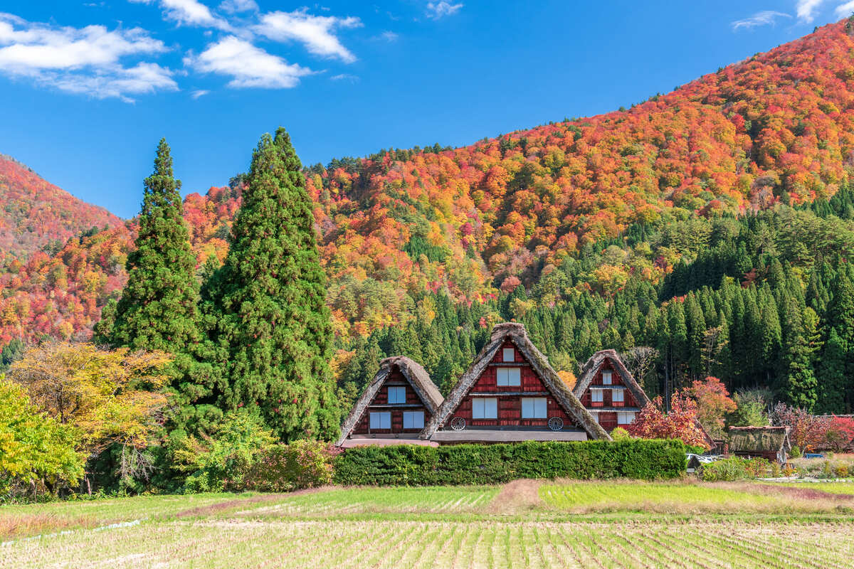 日本北陸