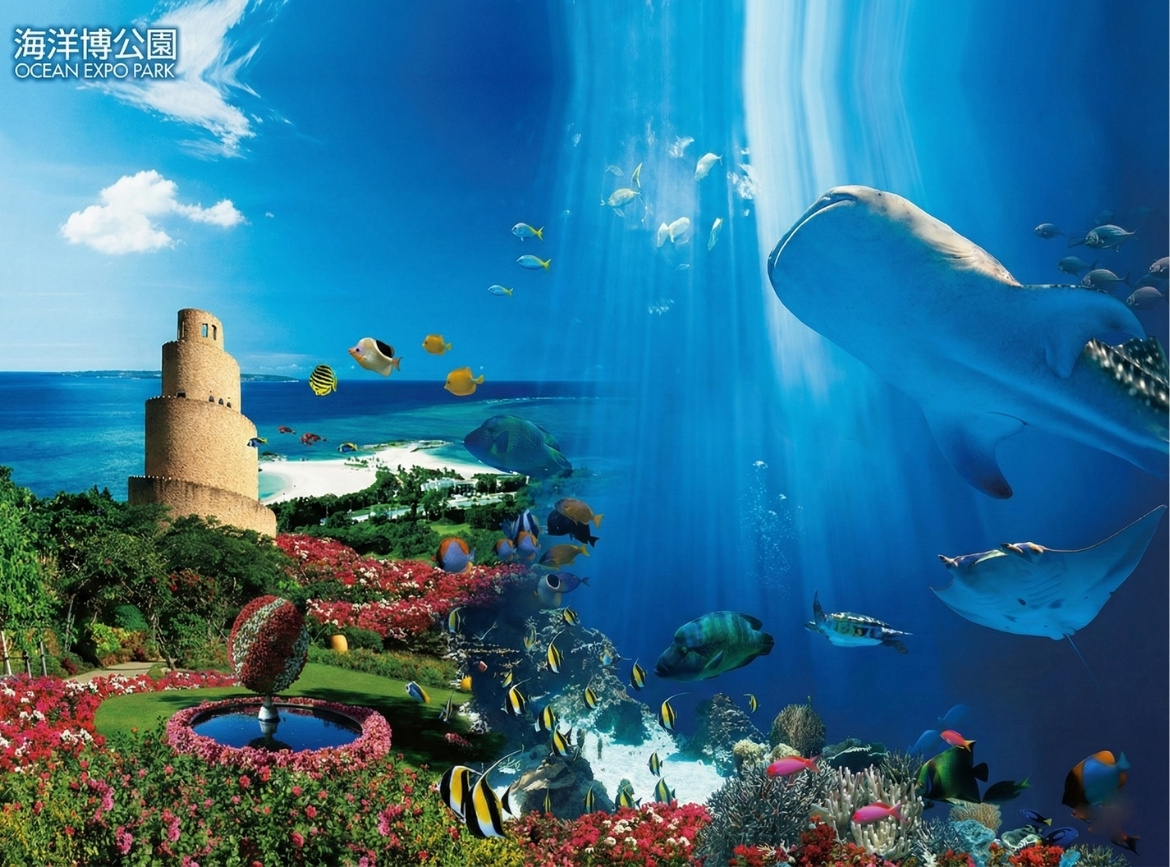 《素易遊》7/31【大手牽小手-沖繩4日】暑假親子樂遊．海洋博水族館．玉泉洞．王國村海．葡萄農場｜無自理餐