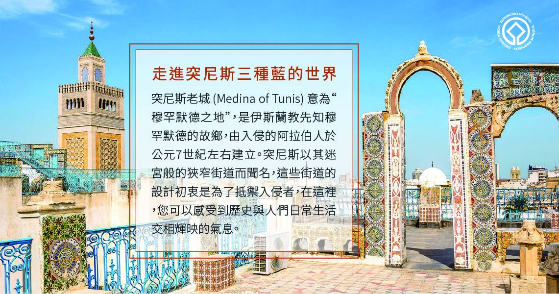 走進突尼斯三種藍的世界