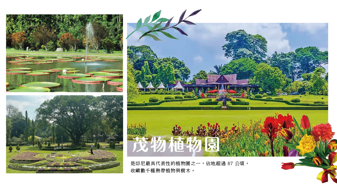 茂物植物園