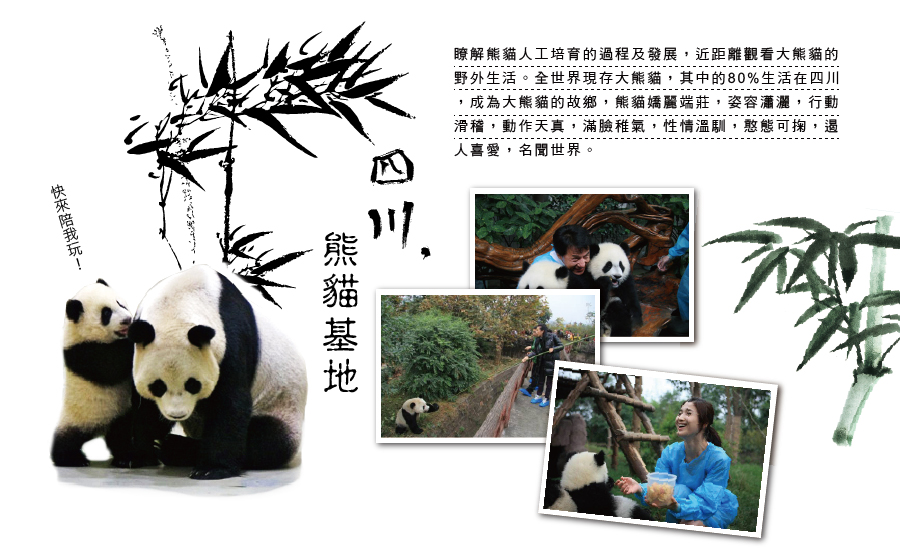 熊貓基地