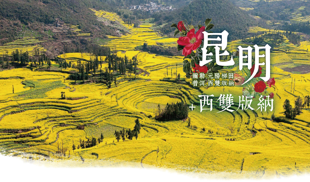 昆明.羅平.瀘西.彌勒.元陽梯田.建水.尊爵8天