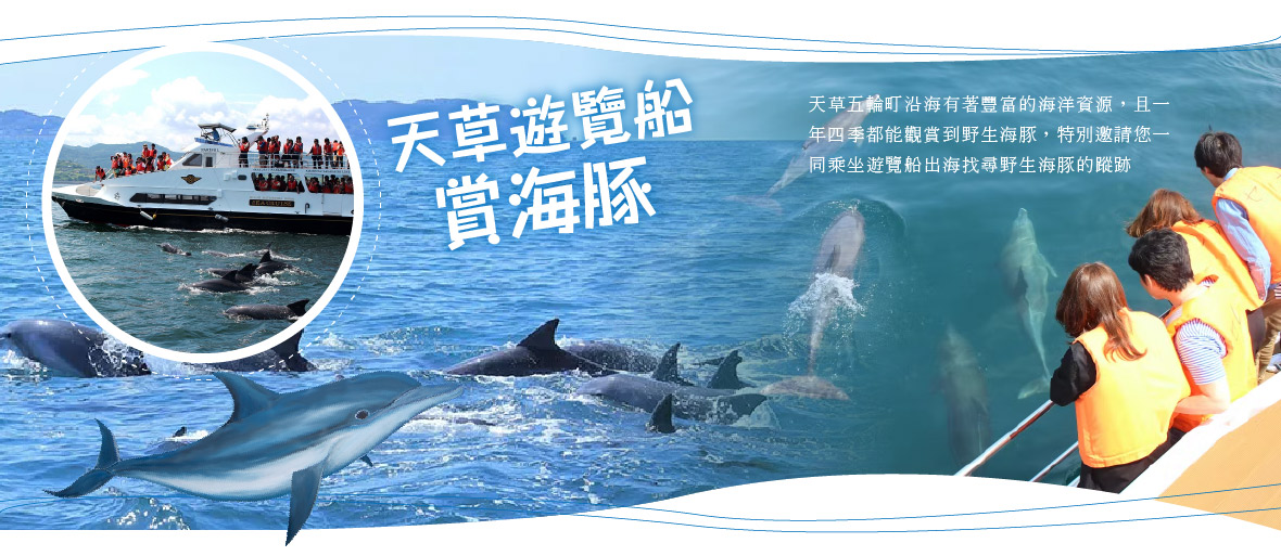 天草遊覽船賞海豚