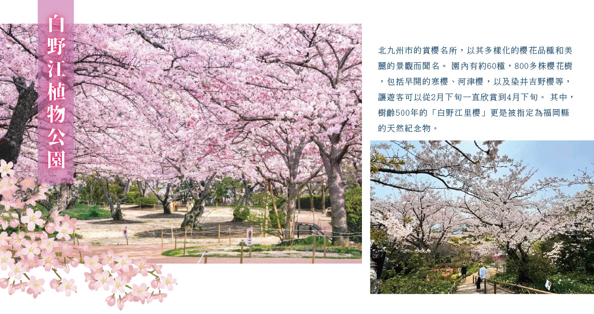 白野江植物公園