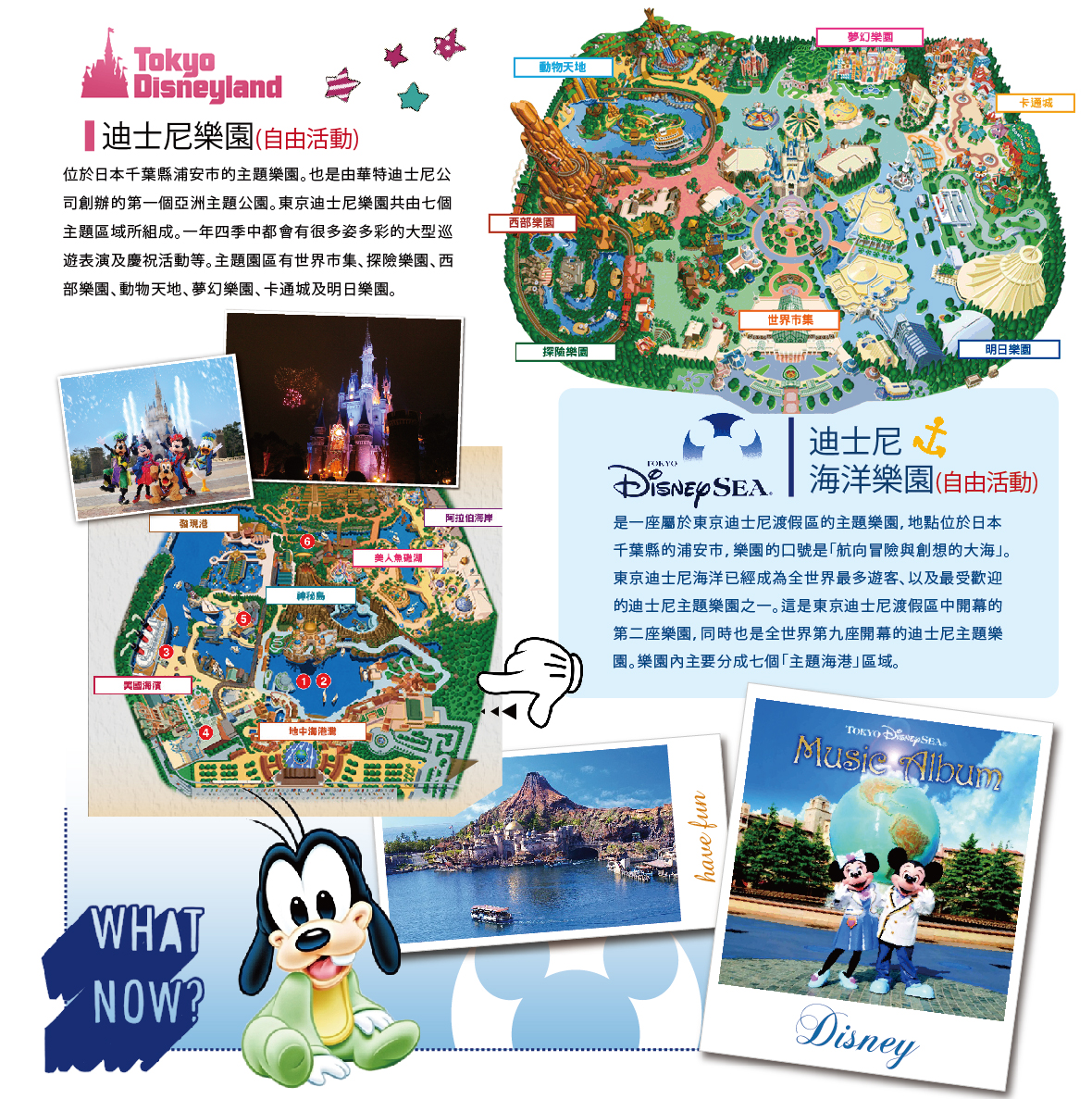 東京迪士尼樂園(自費)