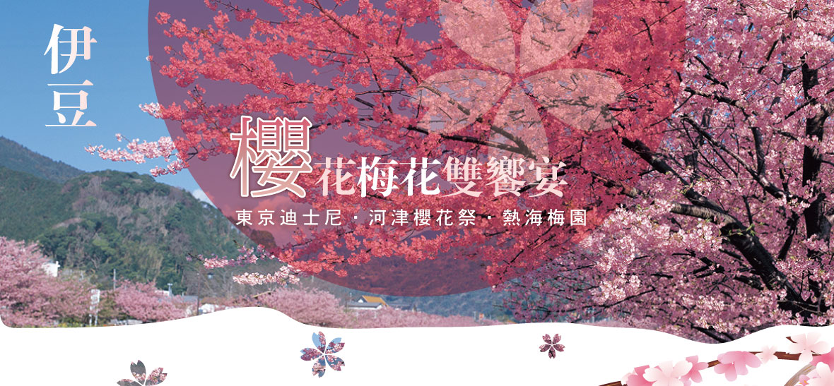 伊豆櫻花梅花雙饗宴~東京迪士尼河津櫻花祭熱海梅園五日(星宇)