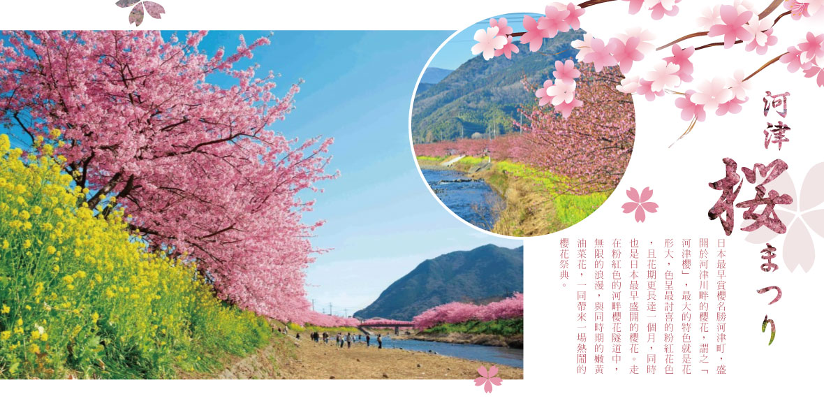 河津櫻花祭