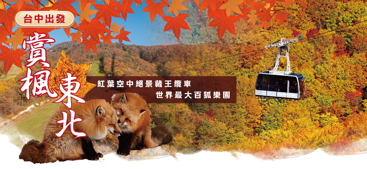 台中賞楓東北紅葉藏王纜車狐狸村5日(星宇)