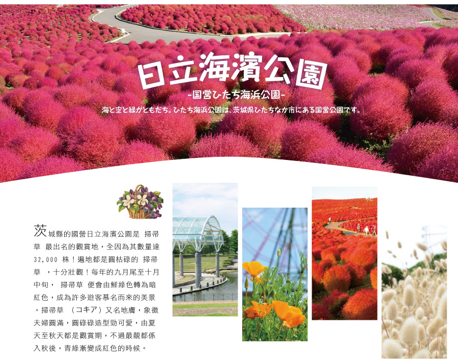 日立海濱公園