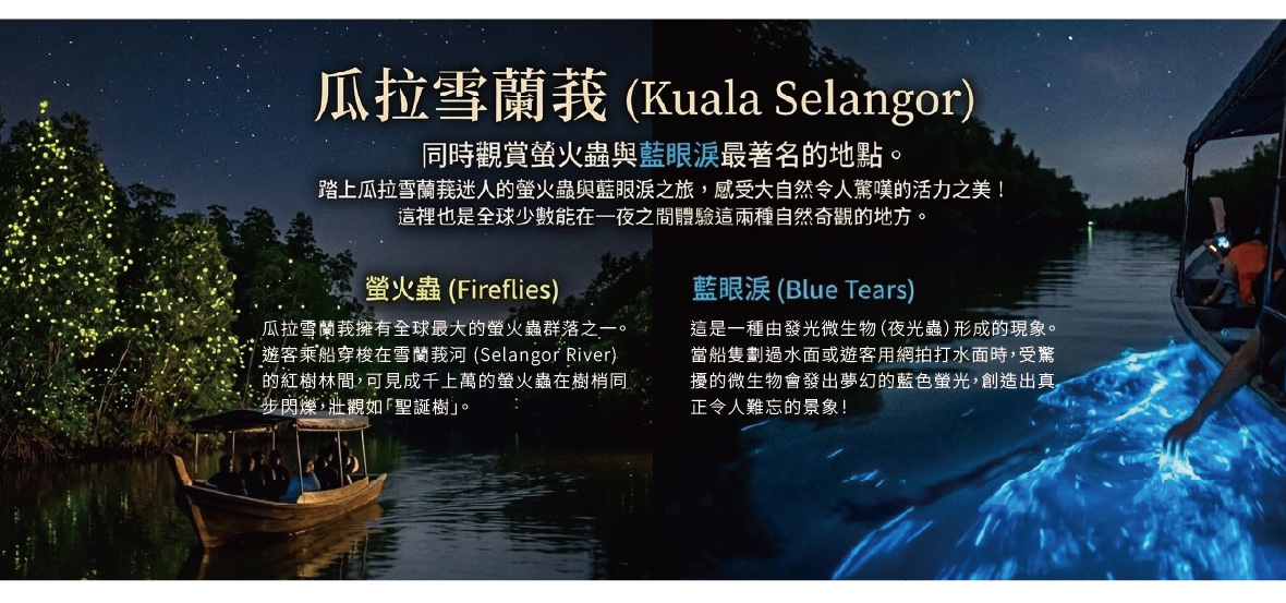 瓜拉雪蘭莪 (Kuala Selangor)