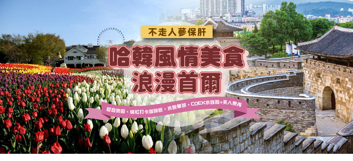 哈韓風情美食浪漫首爾五天《不走人蔘保肝》【台中德威】