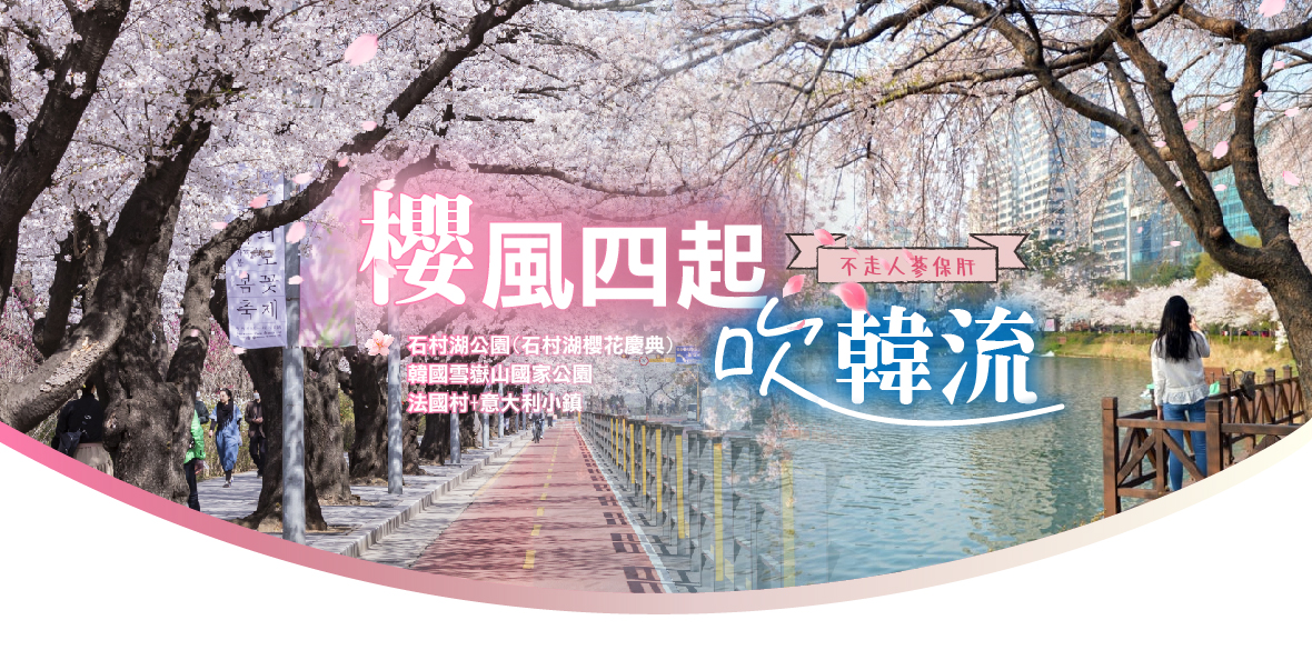 櫻風四起吹韓流五天
