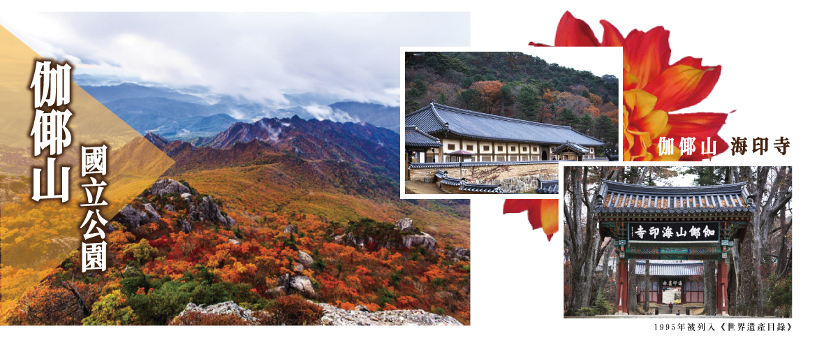 伽倻山海印寺