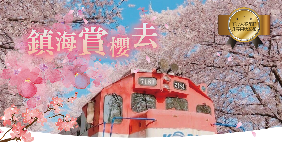 鎮海賞櫻去5天(不走人蔘保肝)