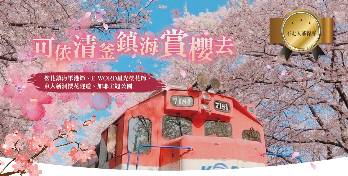 可依清釜鎮海賞櫻去六天(不走人蔘保肝)