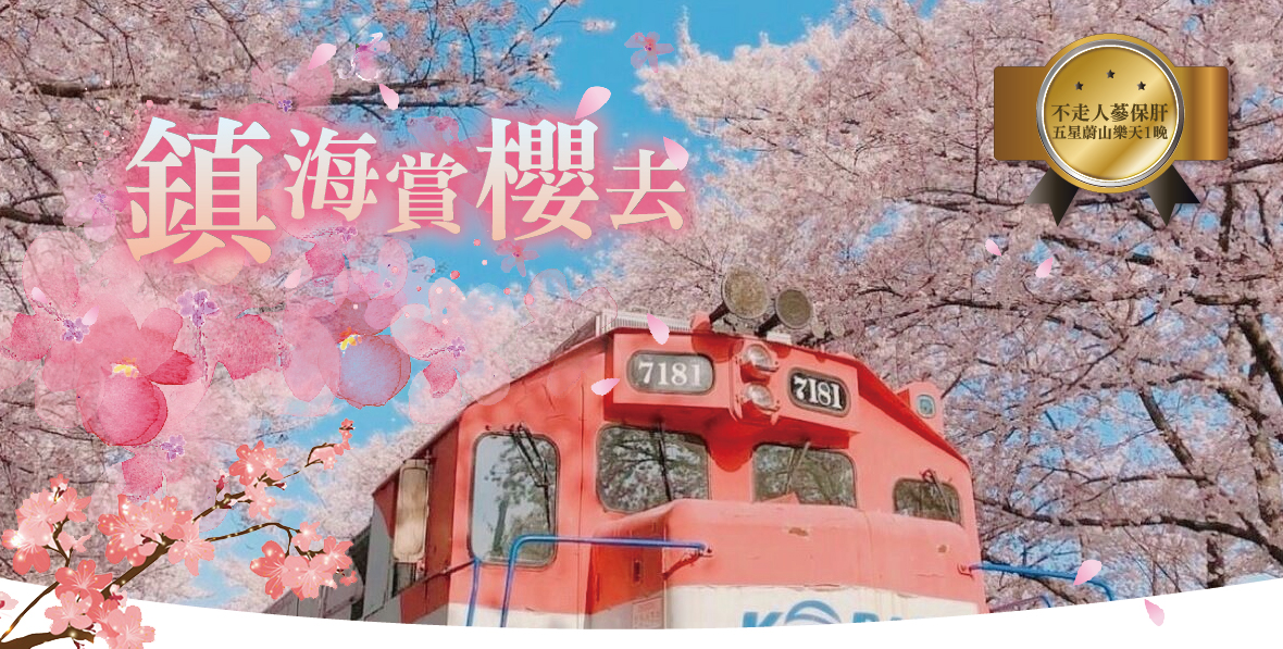 一起玩樂釜山鎮海賞櫻去