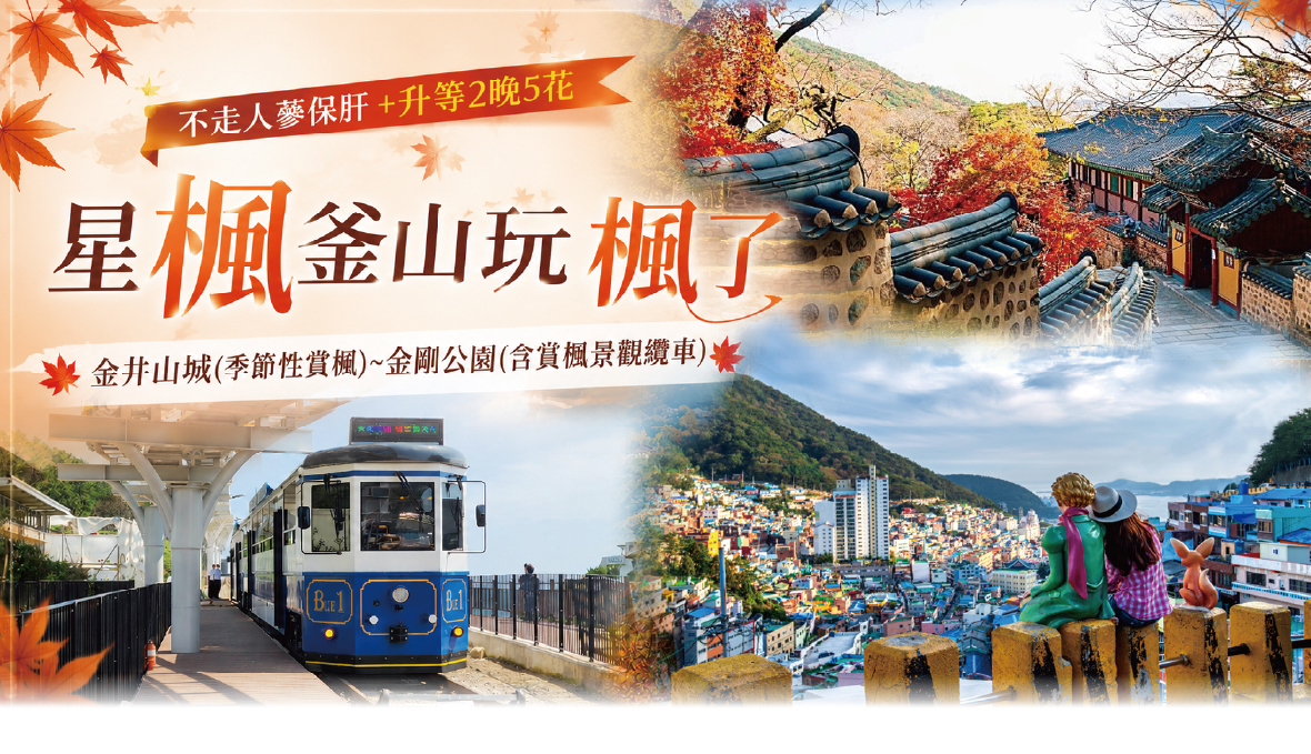 星楓釜山玩楓了5天