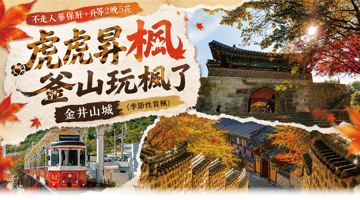 虎虎昇楓釜山玩楓了5天