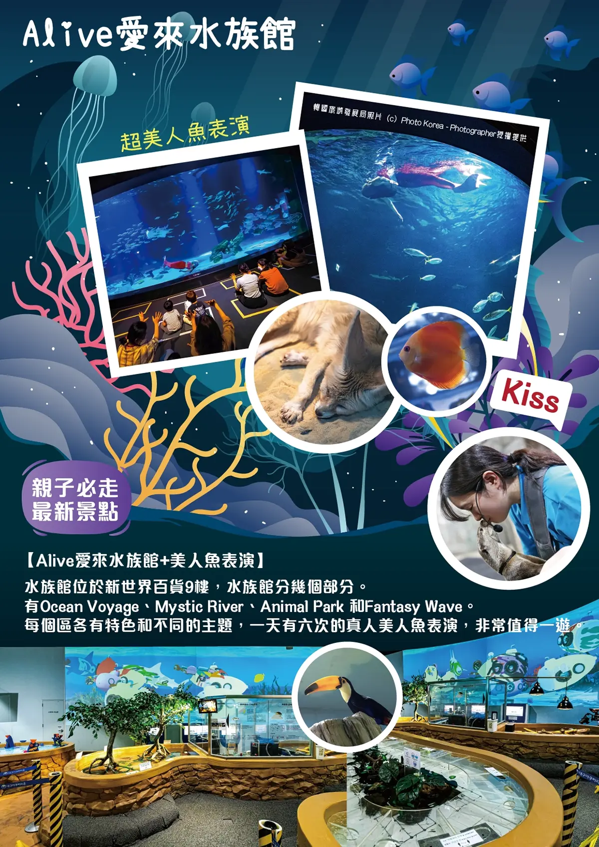 愛來水族館 大邱 釜山 韓國旅遊 美人魚