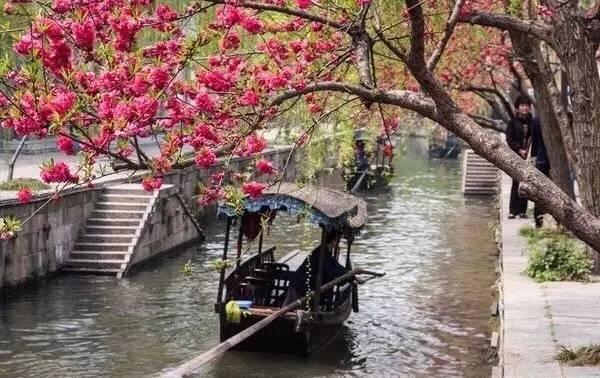 圖片1