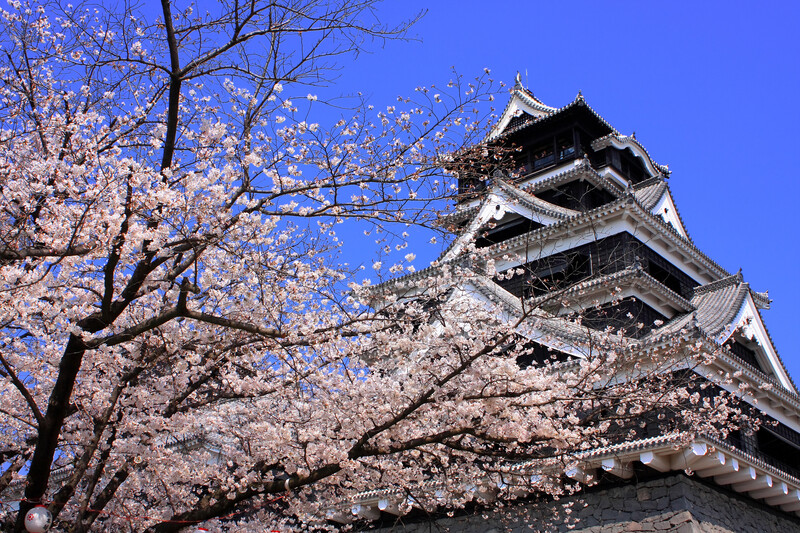 熊本賞櫻百選~海之中道櫻花廊x季節採草莓x三大蟹溫泉五日