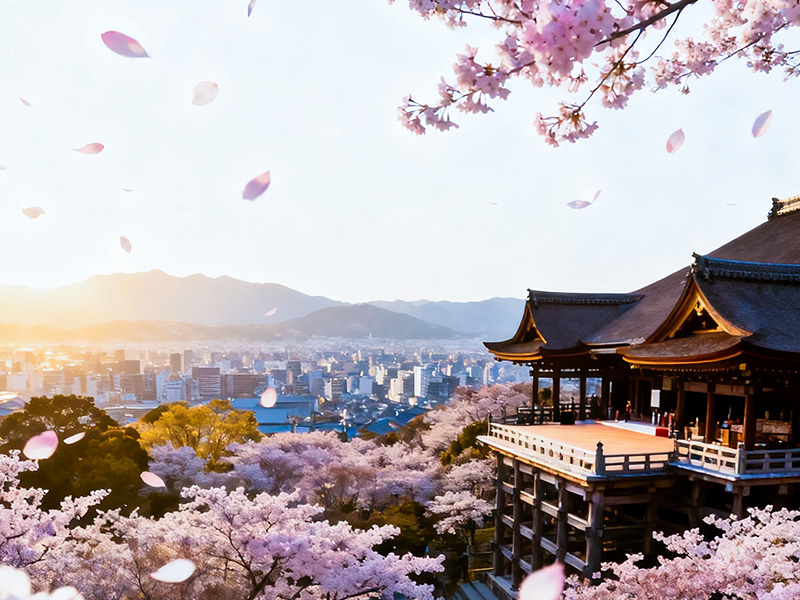 大阪櫻花聖地巡禮+螃蟹國產牛吃到飽