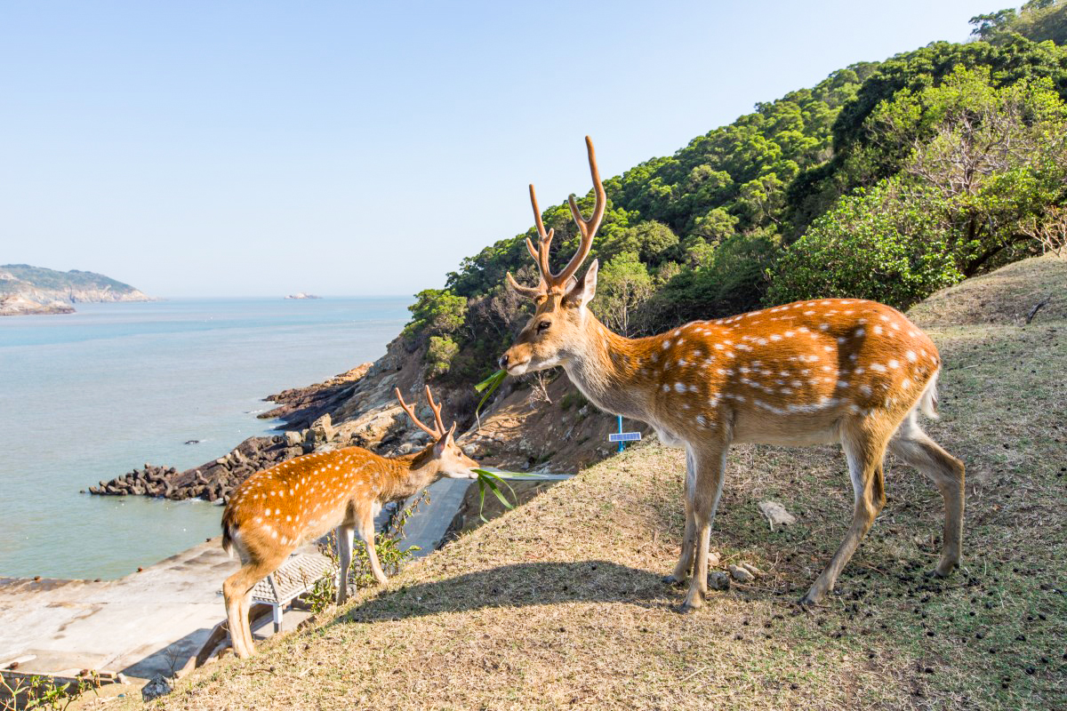 圖片1