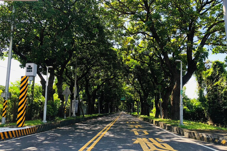 十股綠色隧道