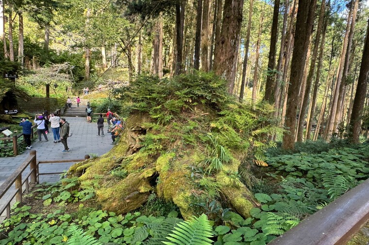 阿里山森林遊樂區