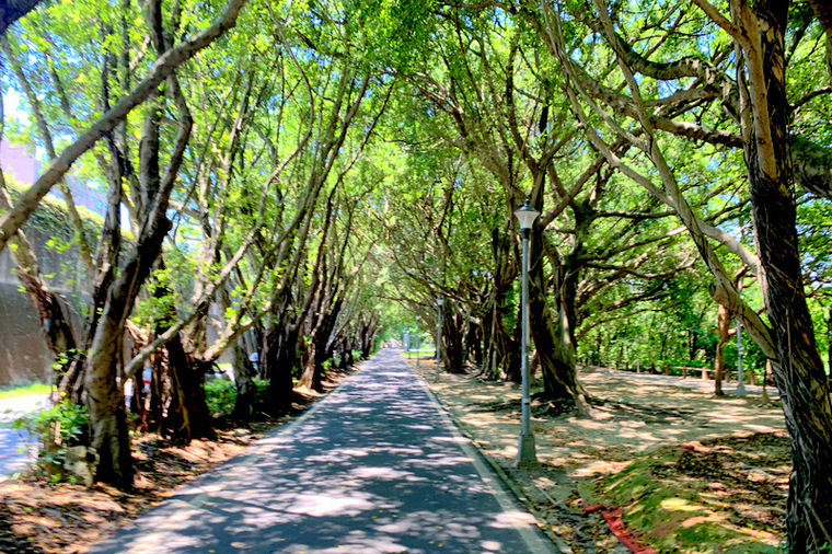 新店溪河濱自行車道右岸