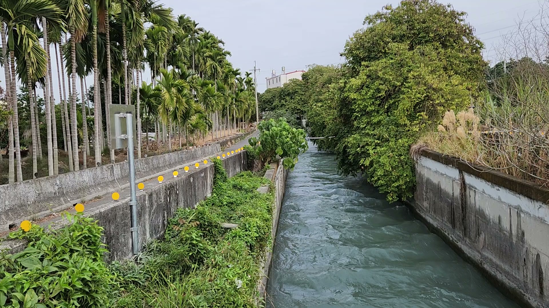 水圳綠道