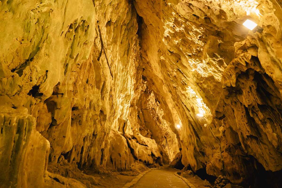 墾丁珊瑚礁森林秘境墾丁徠旅高雄和逸3日