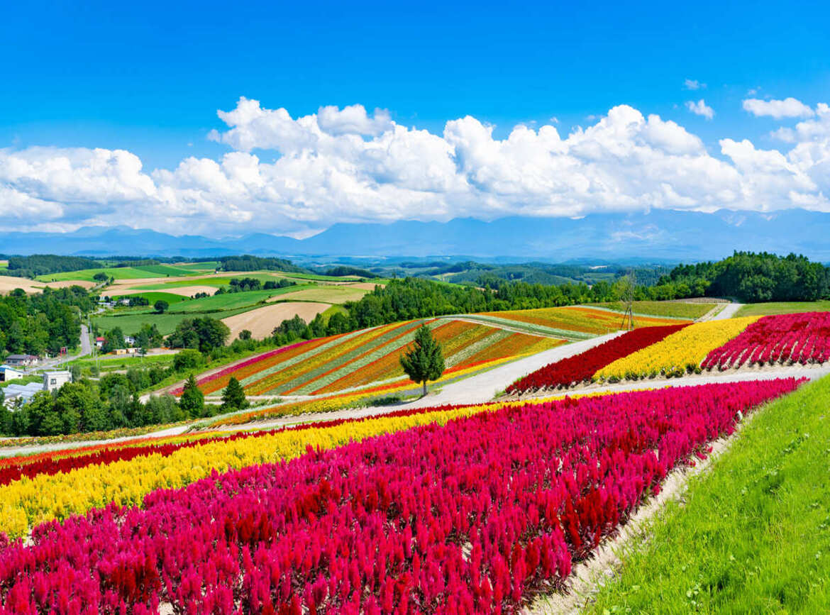 北海道