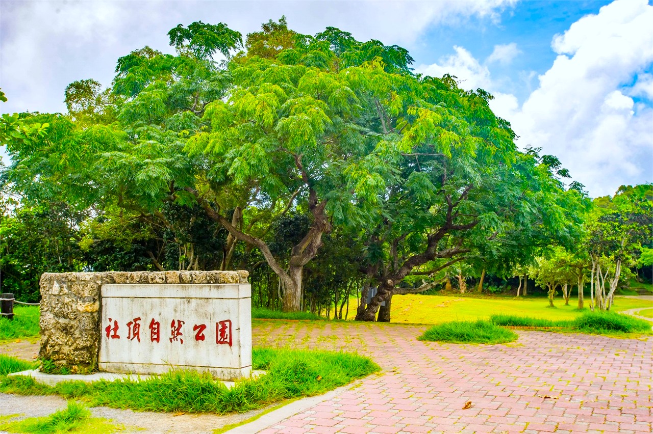 圖片1