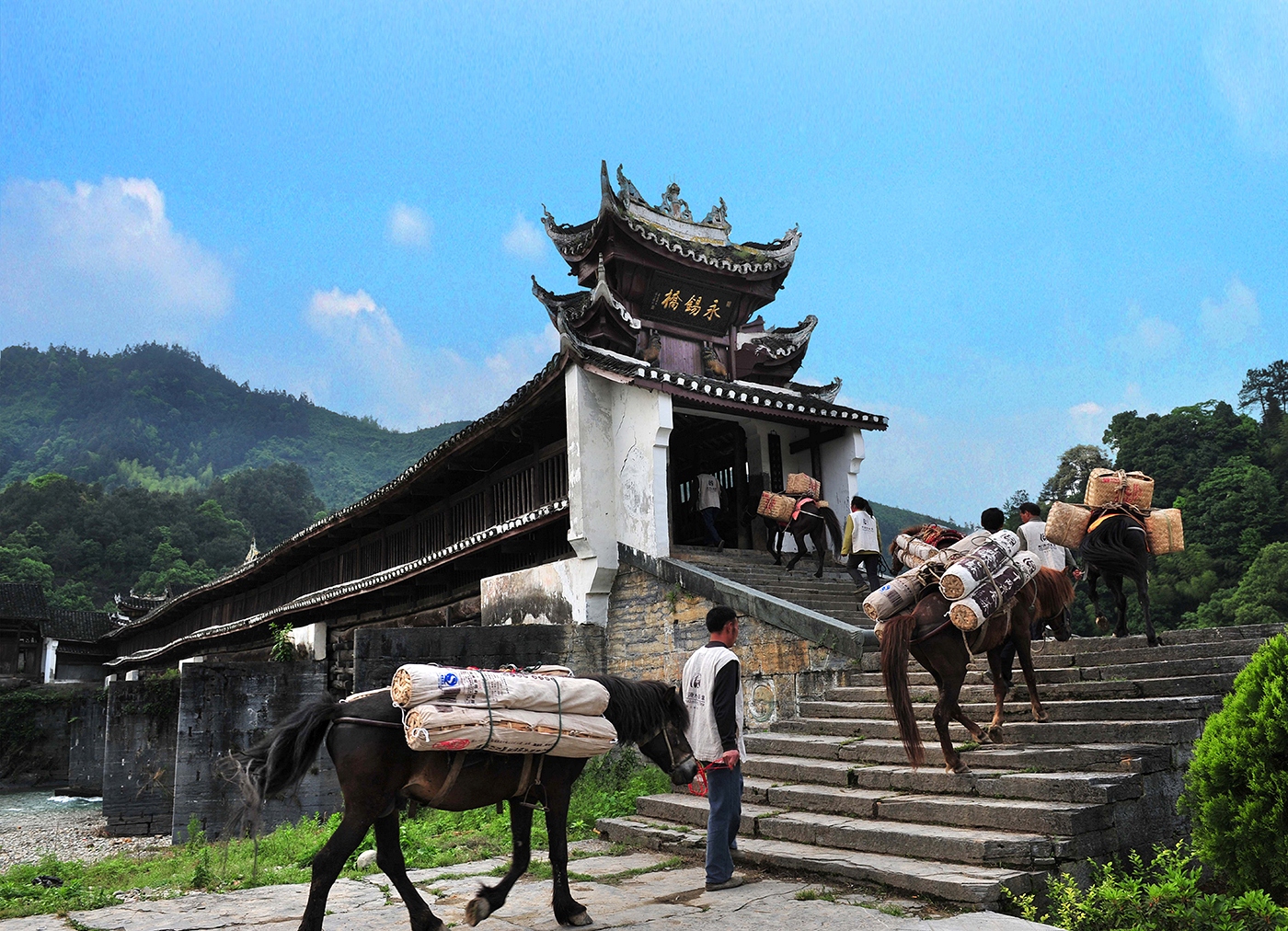 茶馬古道輕健行.jpg