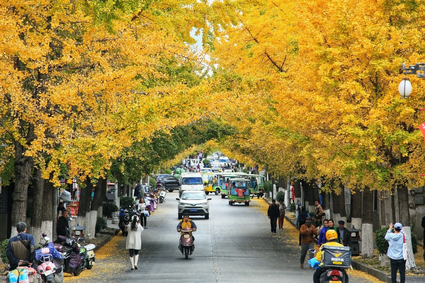 玉洱路.jpg