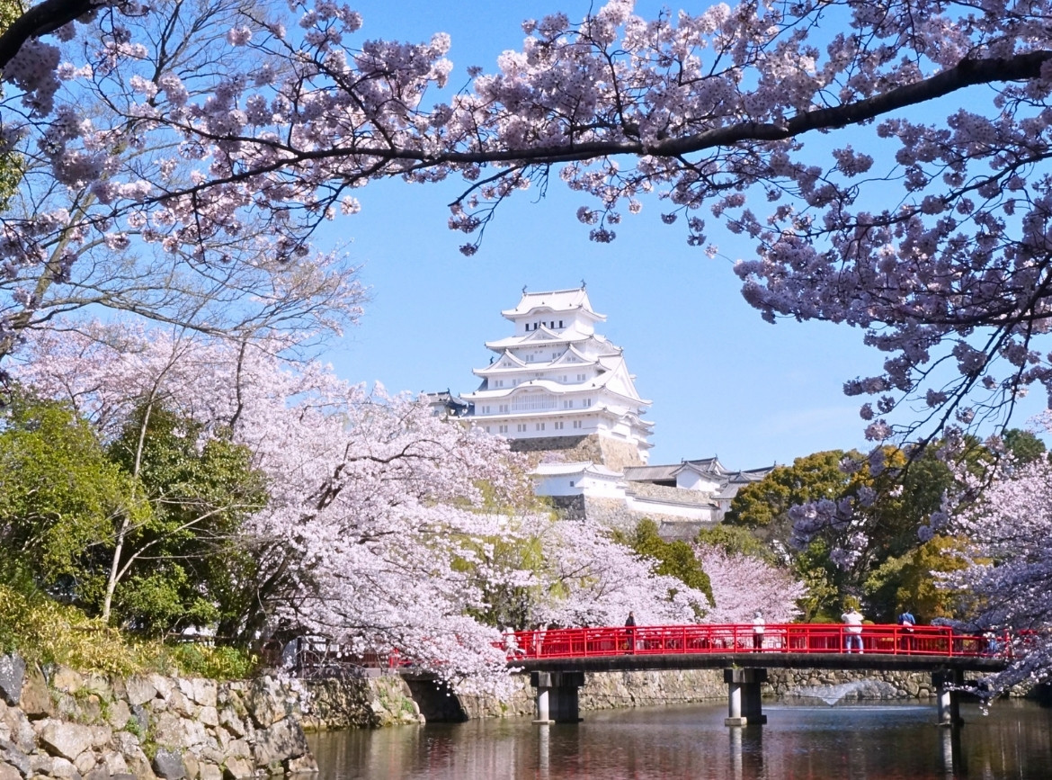 《素易遊》3/23【日本賞櫻6日】山陰山陽｜賞櫻限定團．限量優惠發行🌸春日限定旅程｜無購物