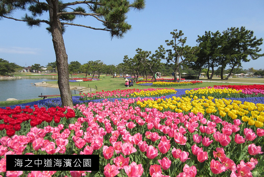 秋月城跡_春01.jpg