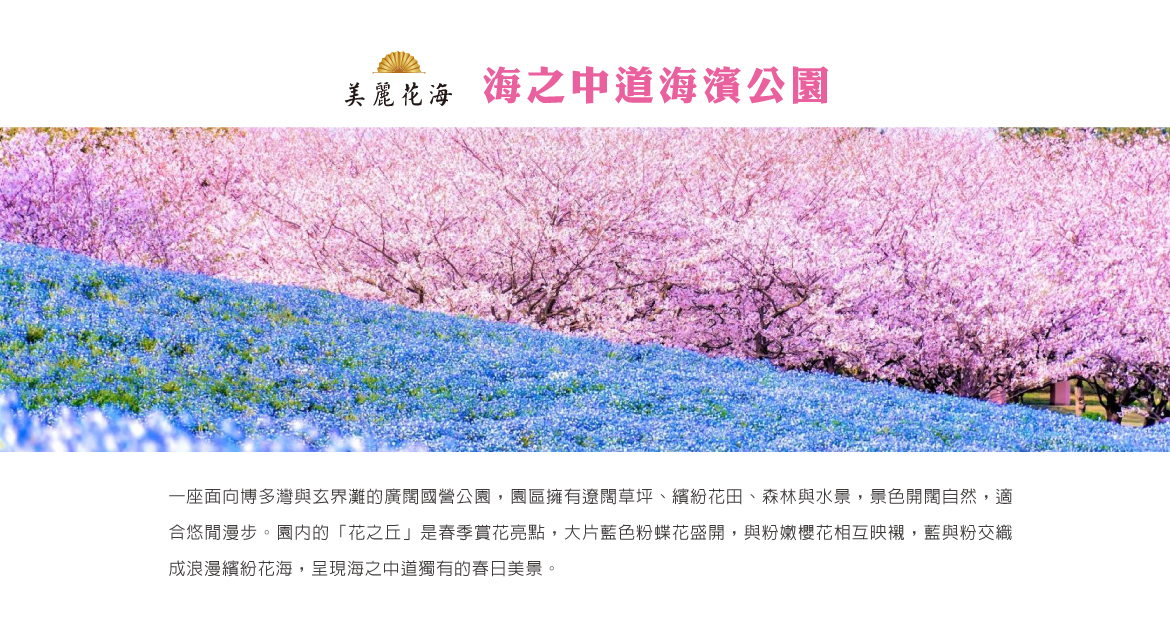 海之中道海濱公園_春.jpg