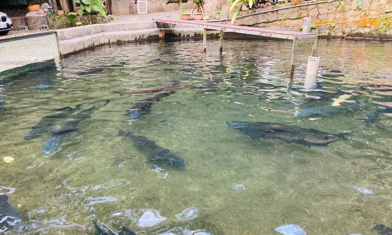 千戶傳奇生態魚場-1