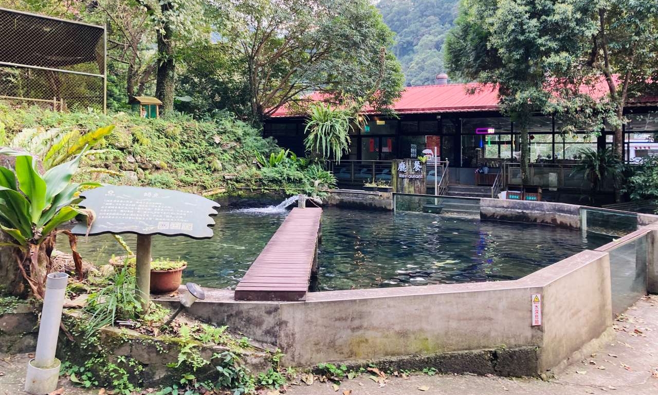 千戶傳奇生態魚場-2