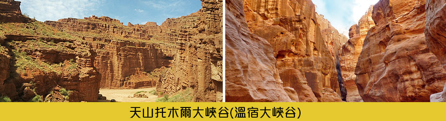 沙雁洲胡楊林睡胡楊林