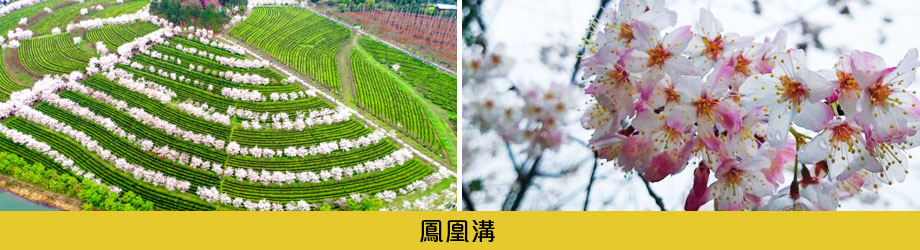 鳳凰溝